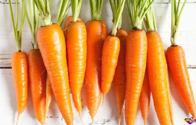 Mơ thấy cà rốt to màu cam
