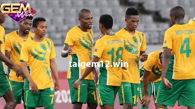 Đội hình dự kiến hai đội South Africa vs Namibia 