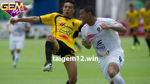 Đội hình dự kiến sẽ ra sân của hai đội LD Alajuelense vs Puntarenas FC